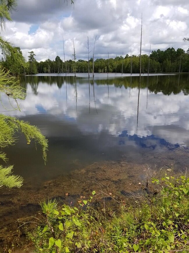 274 Wildwood Rd unit na, West Green, GA 31567 - photo 2