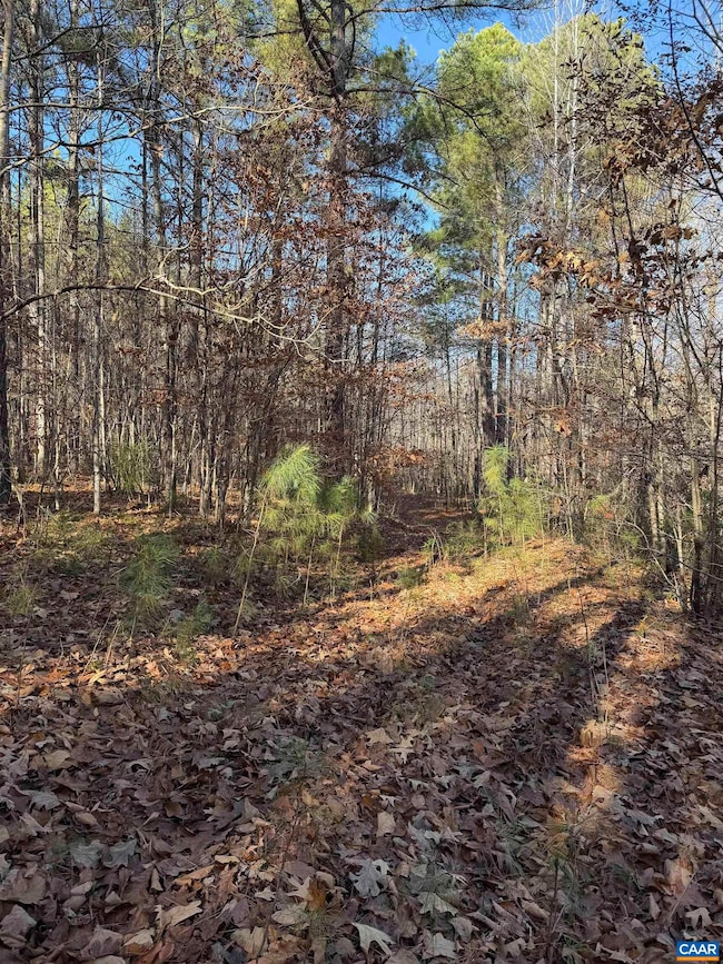 TBD Union Hill Dr, Wingina, VA 24599 - photo 6