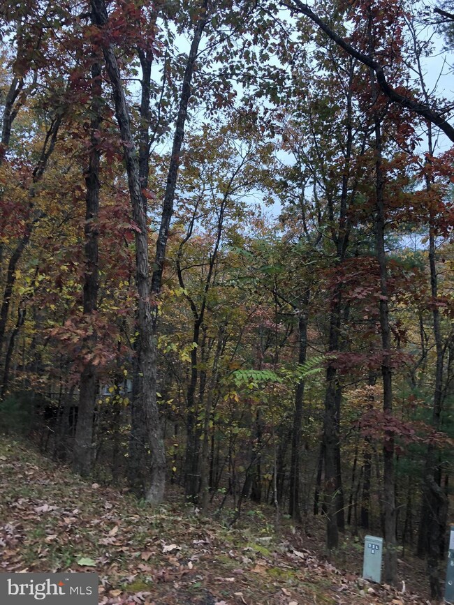 0 Greenview Dr unit VASH121646, Basye, VA 22810 - photo 2