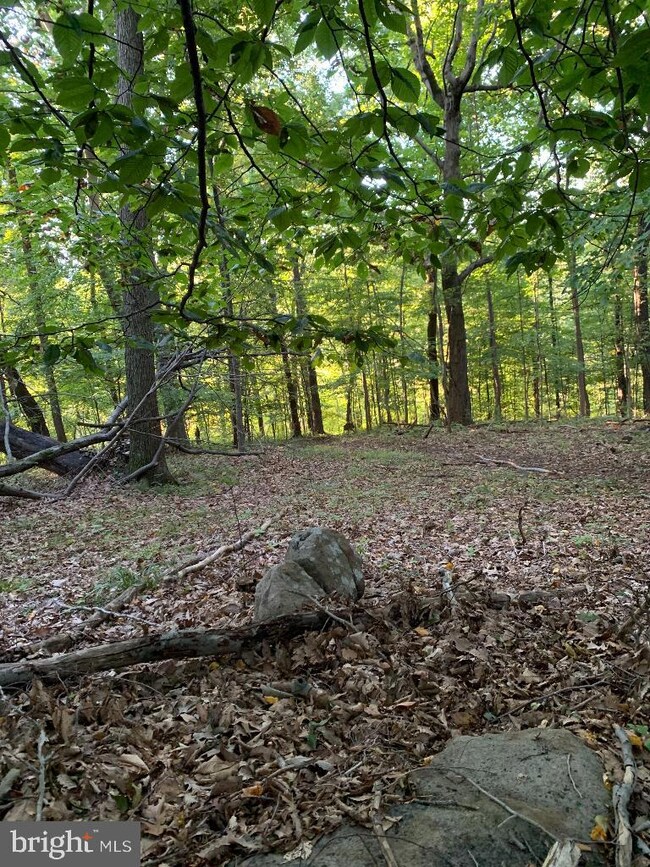 57 Woodchoppertwn Rd, Boyertown, PA 19512 - photo 2