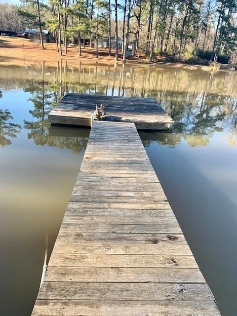 1461 Lee Road 333, Salem, AL 36874 - photo 2