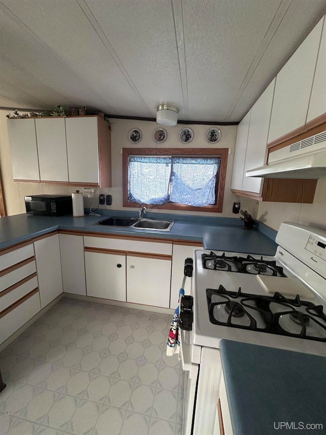 816 W Adams St, Iron River, MI 49935 - photo 5