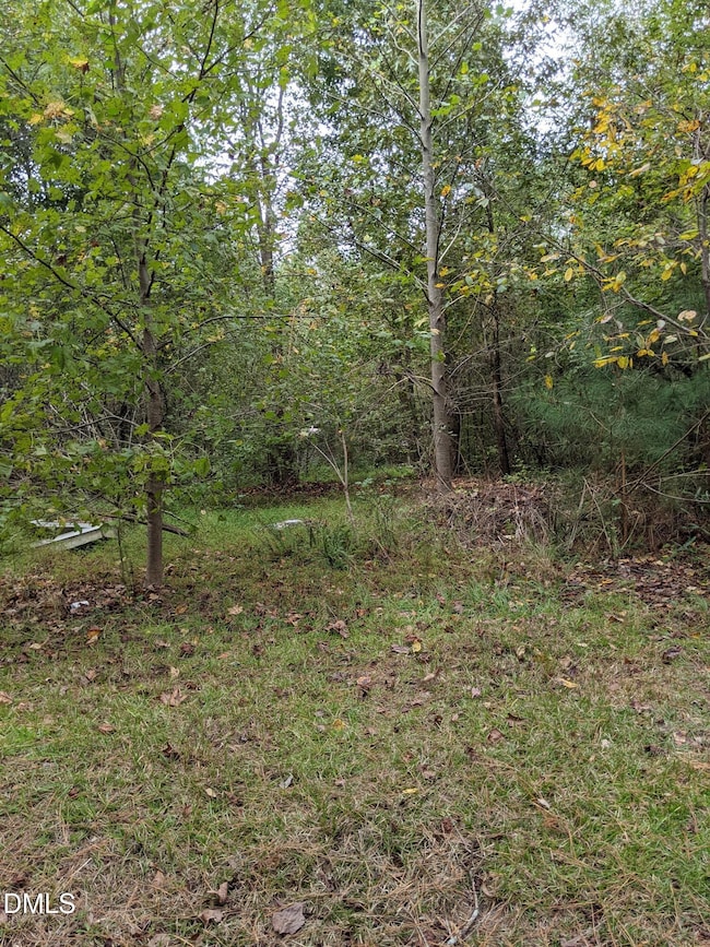 0 E Governor Brandon St, Anderson Creek, NC 28390 - photo 3