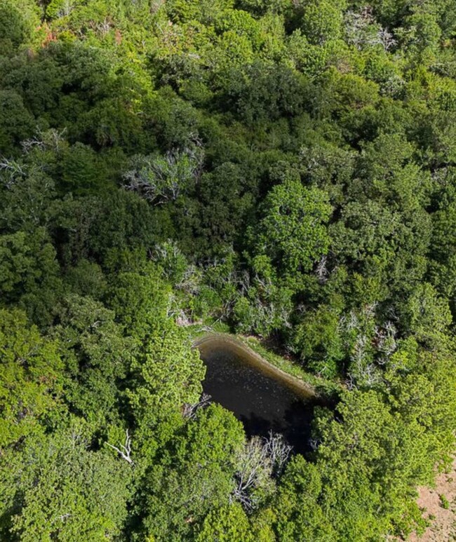 25713 Joseph Rd, Hockley, TX 77447 - photo 3