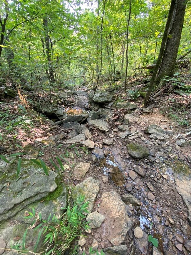 10AC Wild Turkey Rd, Winslow, AR 72959 - photo 5