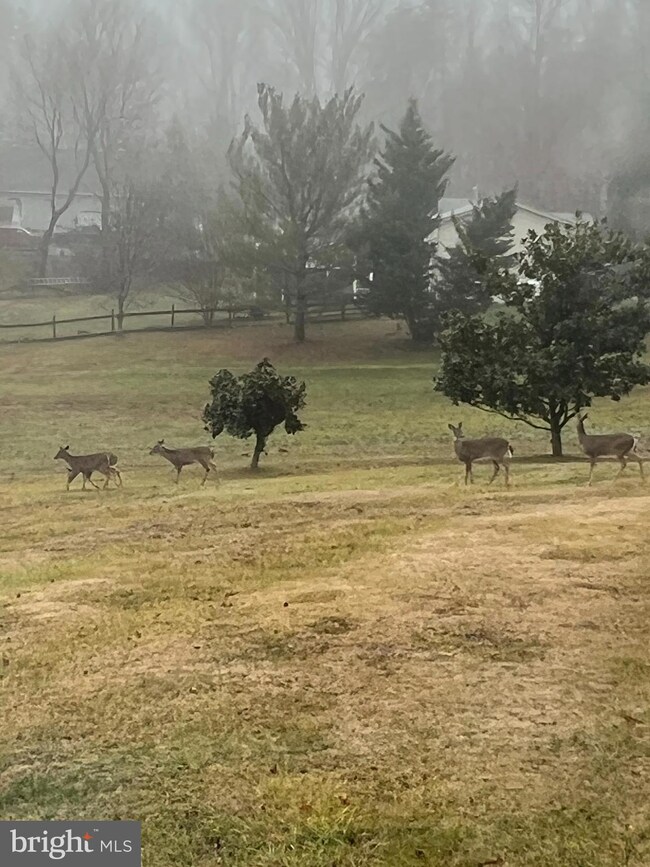 10729 Villa Way, Fredericksburg, VA 22407 - photo 2