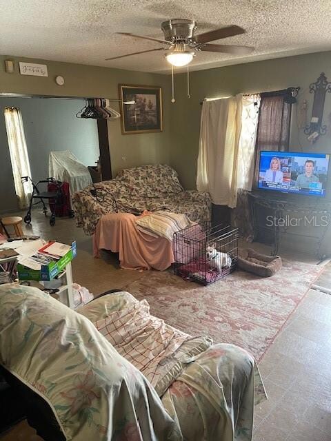 206 7th St SE, Fort Meade, FL 33841 - photo 6