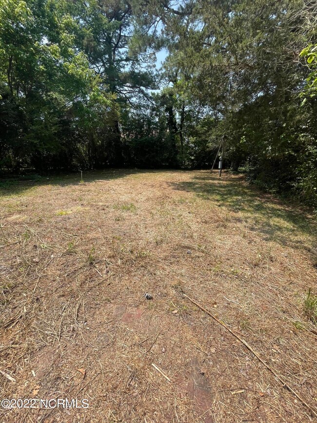Back of property
