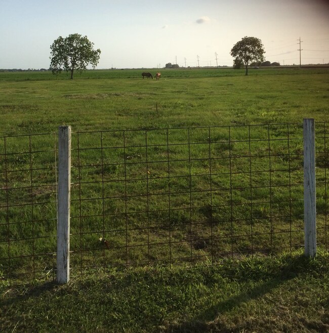 8331 Fm 2977 Rd, Richmond, TX 77469 - photo 3