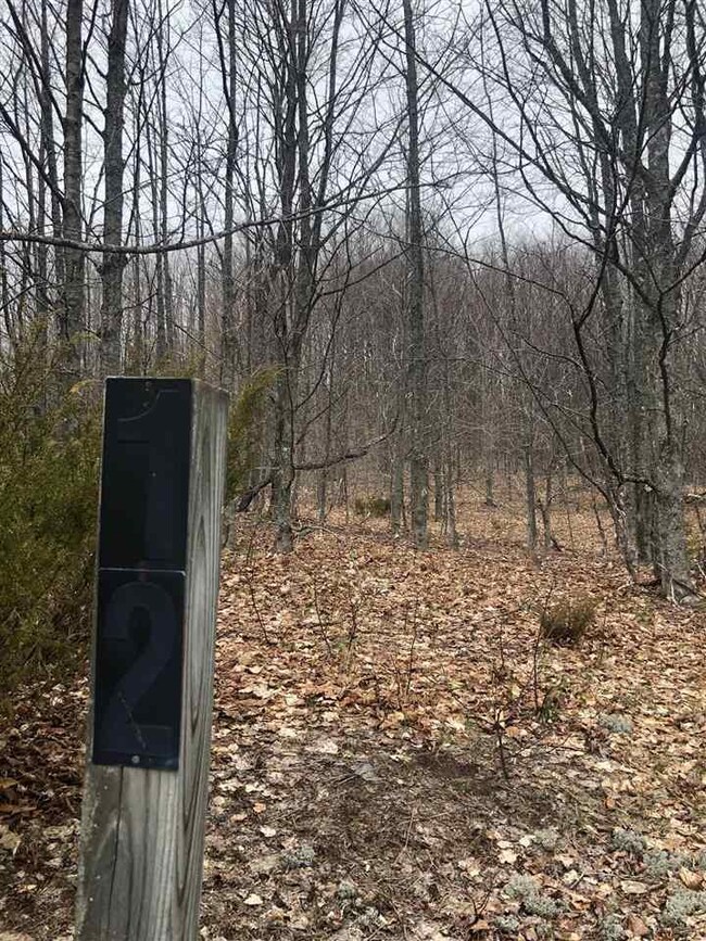 Middle of lot