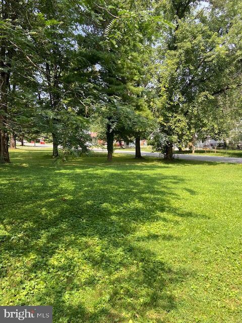 208 E 2nd Ave, Charles Town, WV 25414 - photo 5