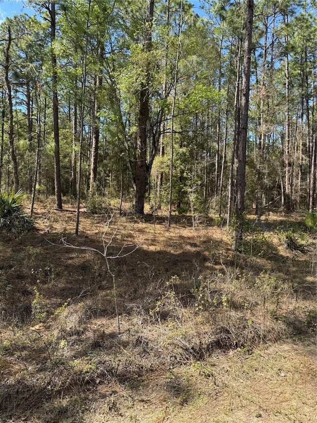 0 SW 156th Ct unit MFRO6331601, Ocala, FL 34481 - photo 5