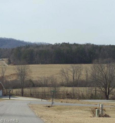 L 17 Mountain Meadow Ln, Purlear, NC 28665 - photo 7