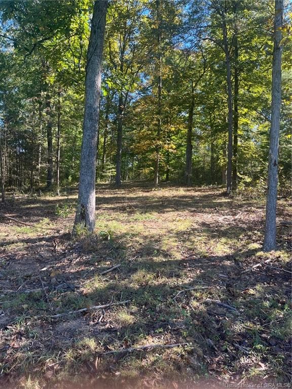 3250 S Wathen Rd, Pekin, IN 47165 - photo 7