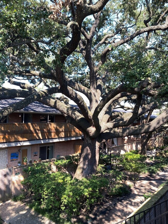 3928 W Alabama St unit 11, Houston, TX 77027 - photo 5