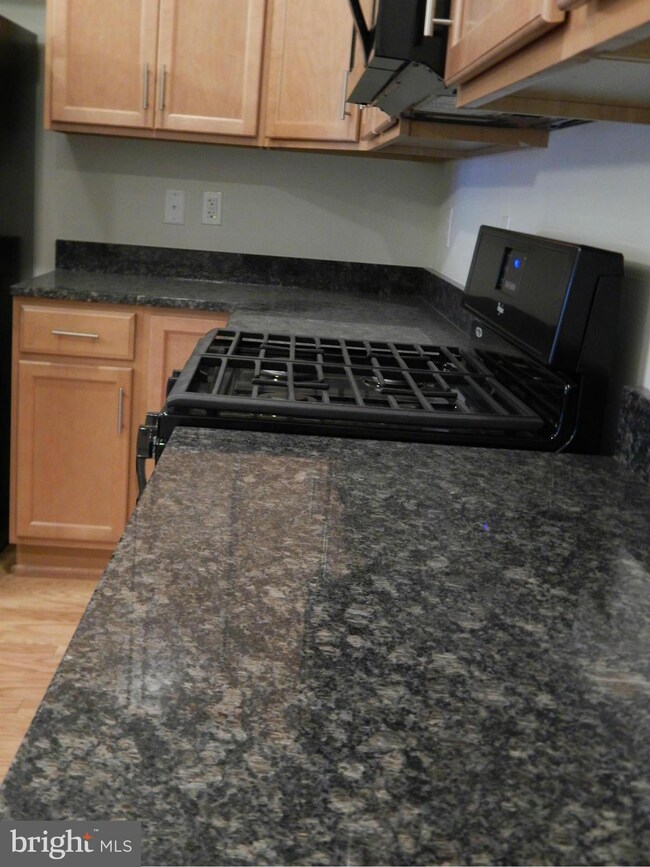 42705 Wardlaw Terrace, Ashburn, VA 20147 - photo 6