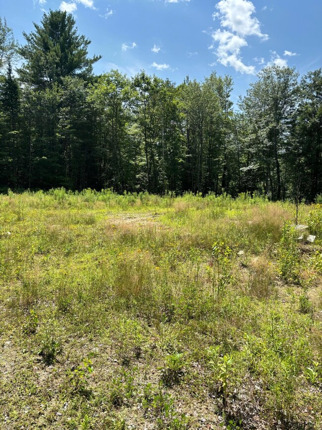 0398 Churchill land open area