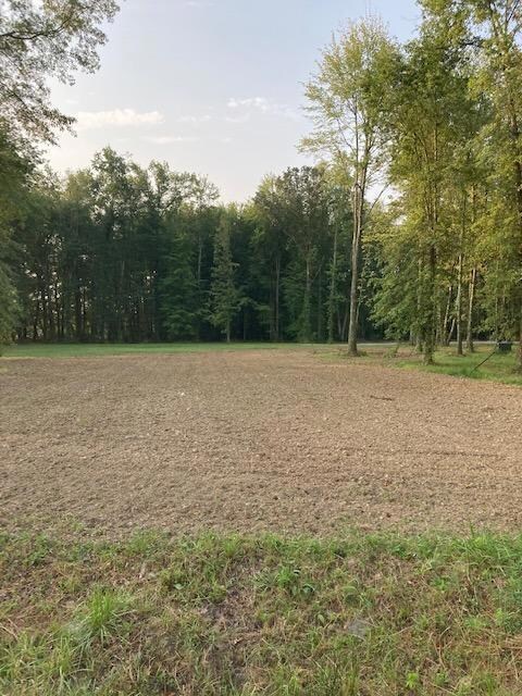 4176 Park Rd, Perry Township, OH 45118 - photo 7