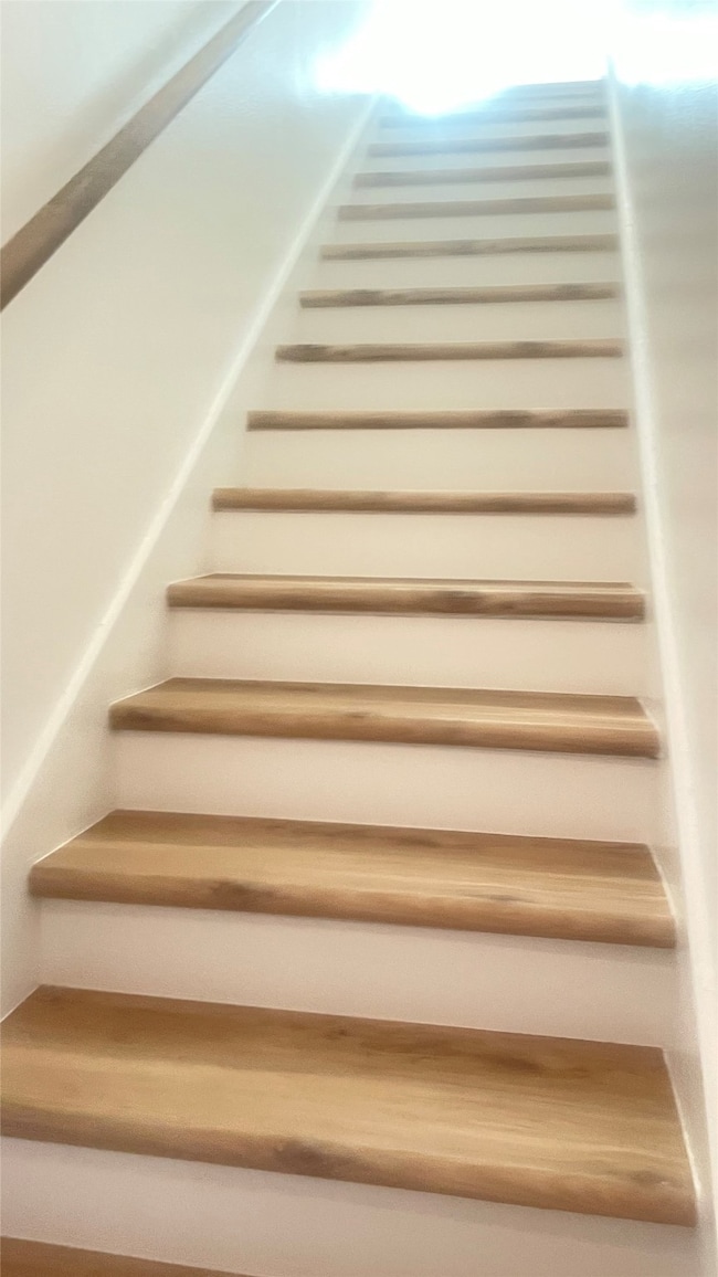 701 Rosedale St unit H, Houston, TX 77006 - photo 5