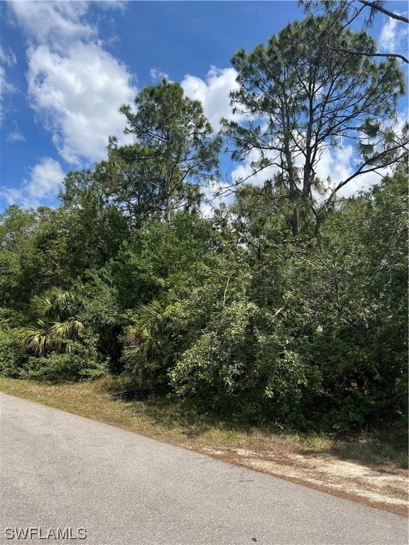 4604 Queen Ave N, Lehigh Acres, FL 33971 - photo 3