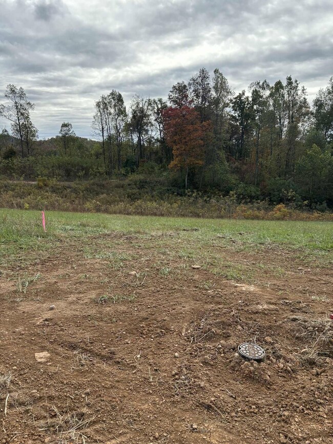 Pine Grove Ch Rd, Vanceburg, KY 41179 - photo 5