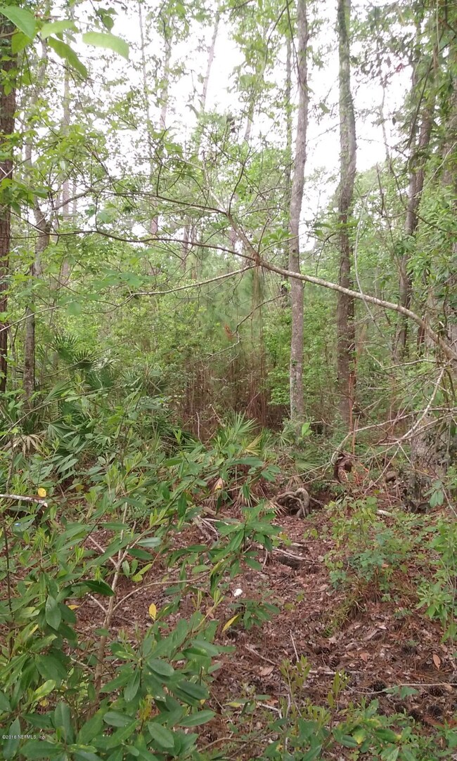 0 Calais St unit 821384, Jacksonville, FL 32224 - photo 5