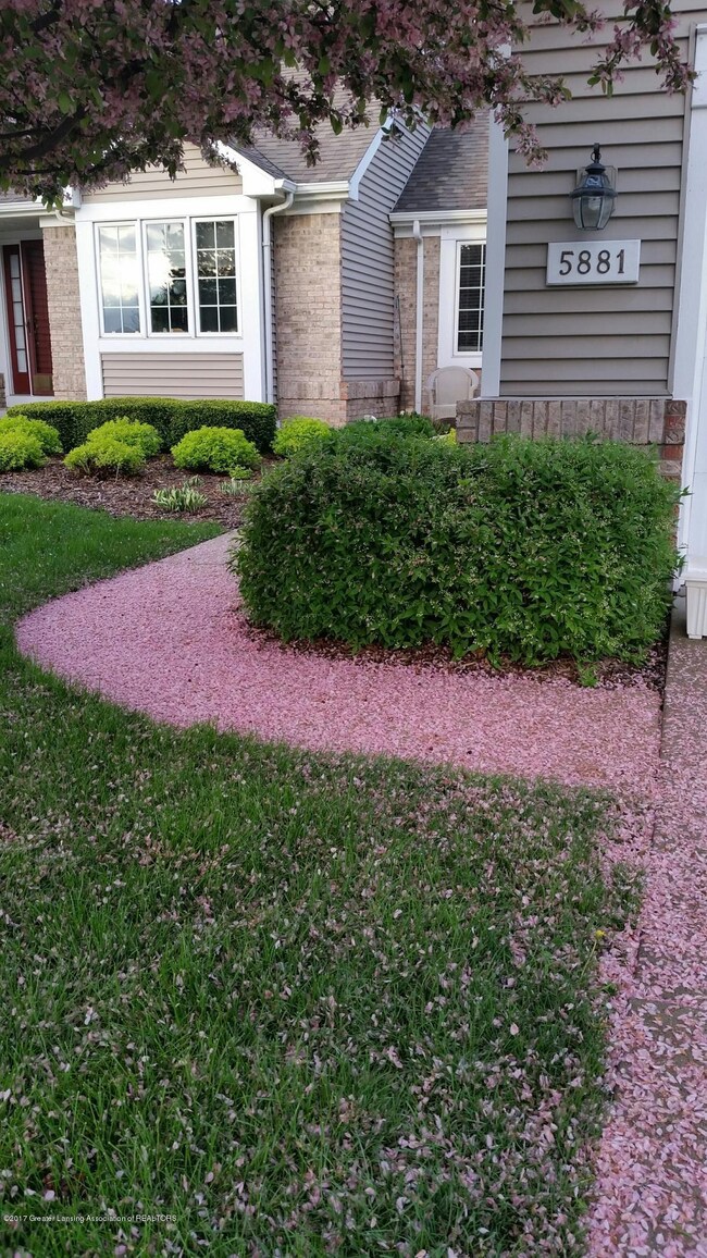Spring blossoms on sidewalk