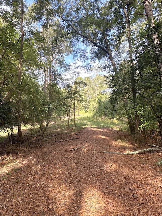 2080 County Road 1100, Woodville, TX 75979 - photo 2