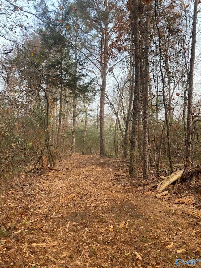 4+/- Acres Mount Carmel Dr, Guntersville, AL 35976 - photo 2
