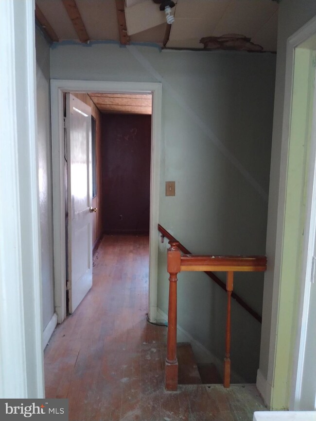 4433 Eldone Rd, Baltimore, MD 21229 - photo 3