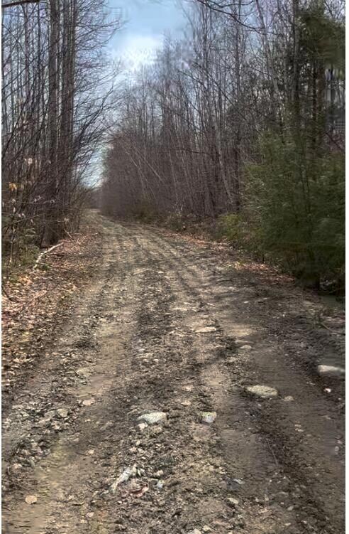 Road In To First Marking