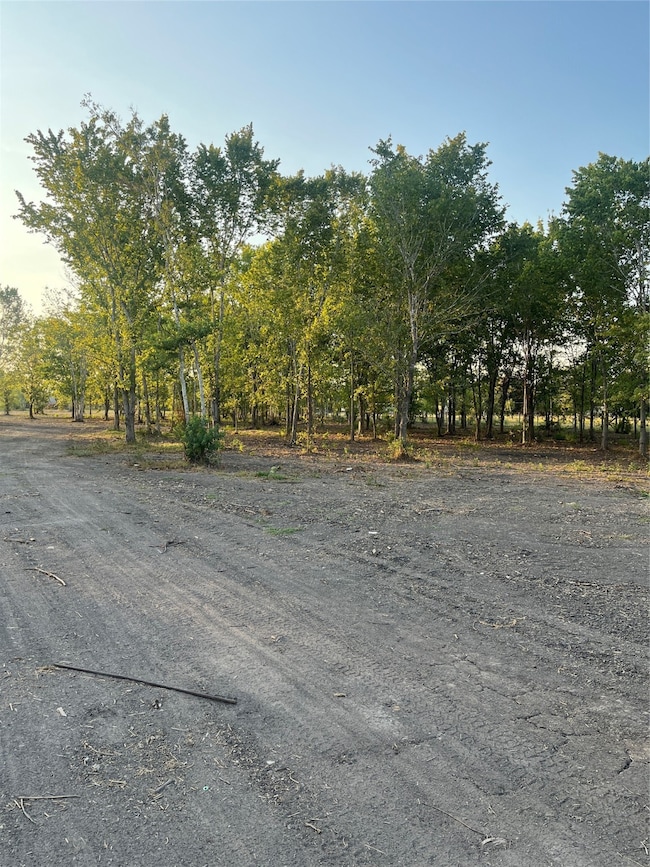 2645 County Road 159, Alvin, TX 77511 - photo 6