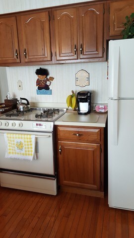 4603 Hirschberg Ave, Schiller Park, IL 60176 - photo 4