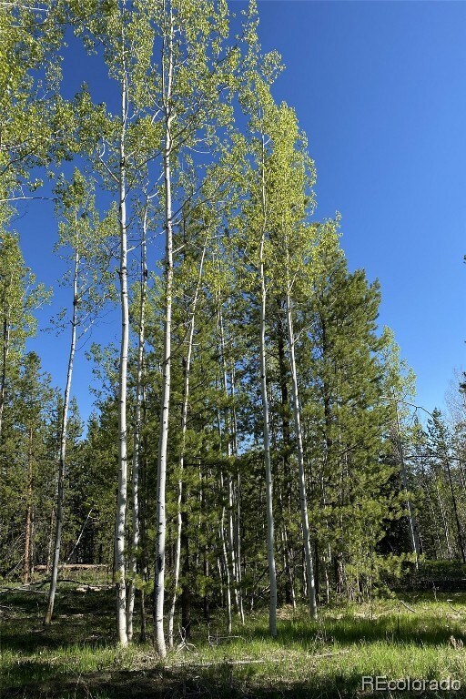 33255 Filly Trail, Oak Creek, CO 80467 - photo 5