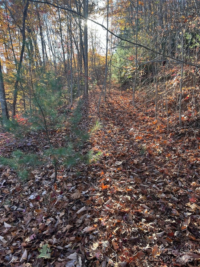 Lot 66 Musket Dr, Almond, NC 28713 - photo 4