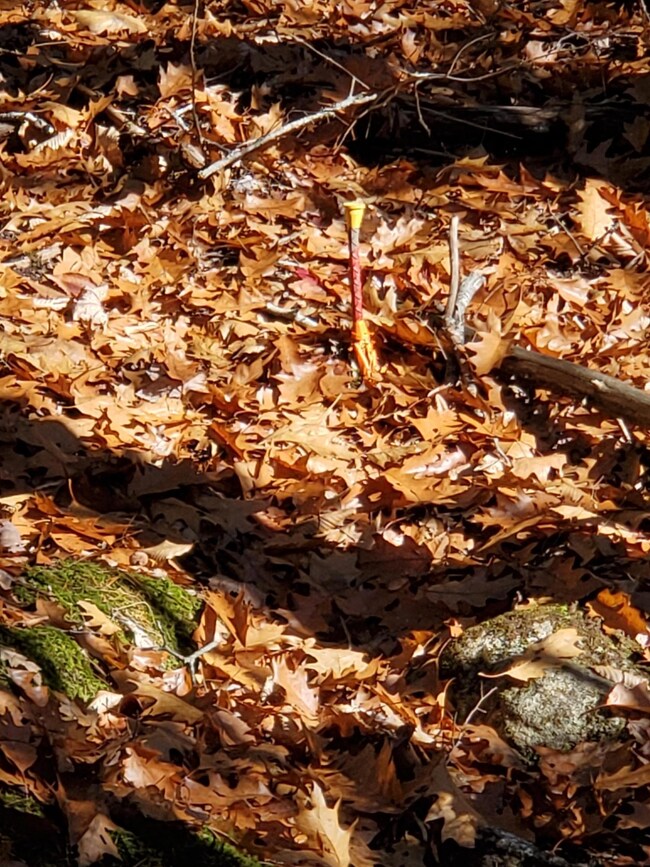 Lot 41 Fernalds Hill Way, Stow, ME 04037 - photo 7