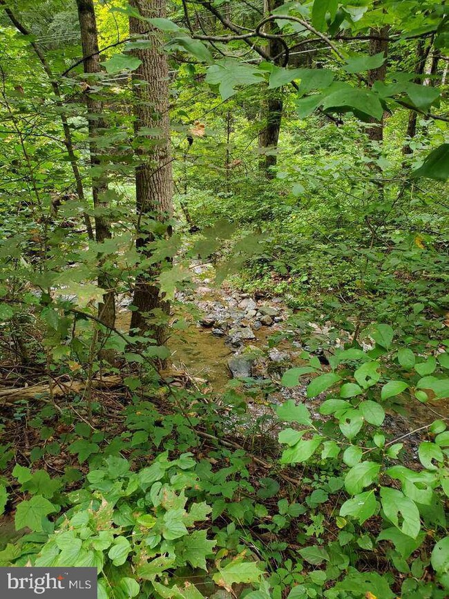 0 Bison Ridge Ln unit PAPY2000378, Newport, PA 17074 - photo 4