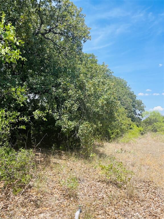 1033 White Bluff Dr, Whitney, TX 76692 - photo 5