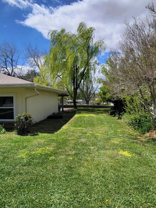 Beautiful side yard