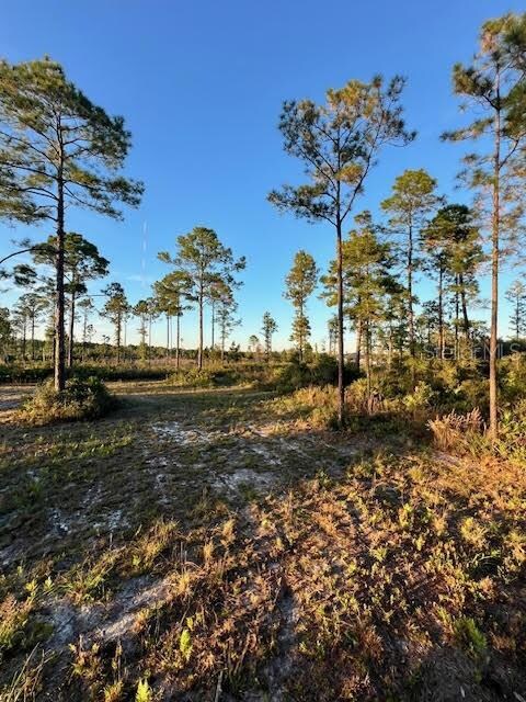 0 Seagrape Ave unit MFRA4672088, Eustis, FL 32736 - photo 7