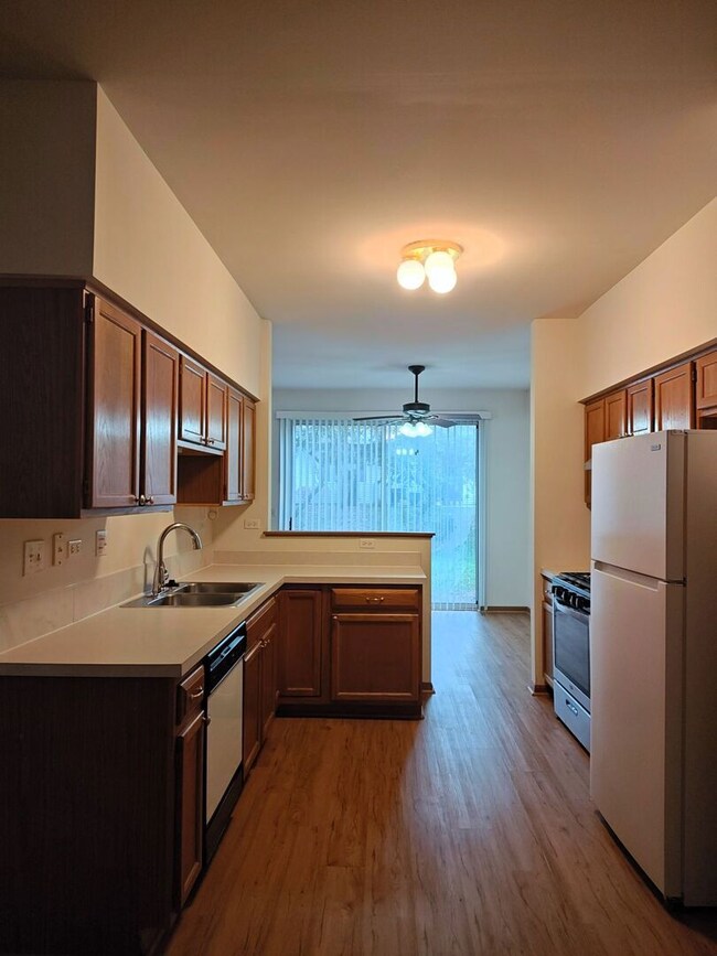 283 Camel Bend Ct unit 39283, Schaumburg, IL 60194 - photo 4