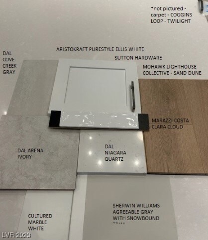 Design selections for 11607 Desert Hollow Avenue ~