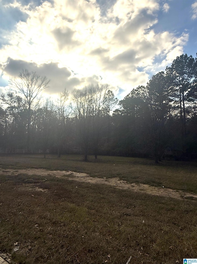 225 Highway 332, Pelham, AL 35124 - photo 4