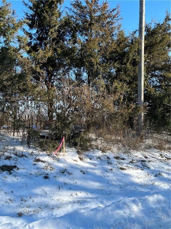 12297 Orrick Rd, Excelsior Springs, MO 64024 - photo 2