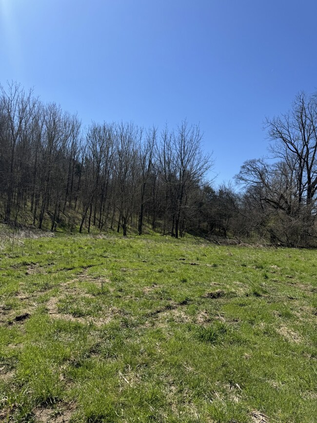 0 Crews Hollow Rd unit RTC2808625, Manchester, TN 37355 - photo 5