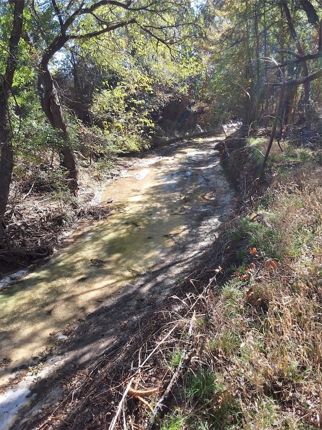 T B D Hcr 3124 (Main St), Bynum, TX 76631 - photo 2