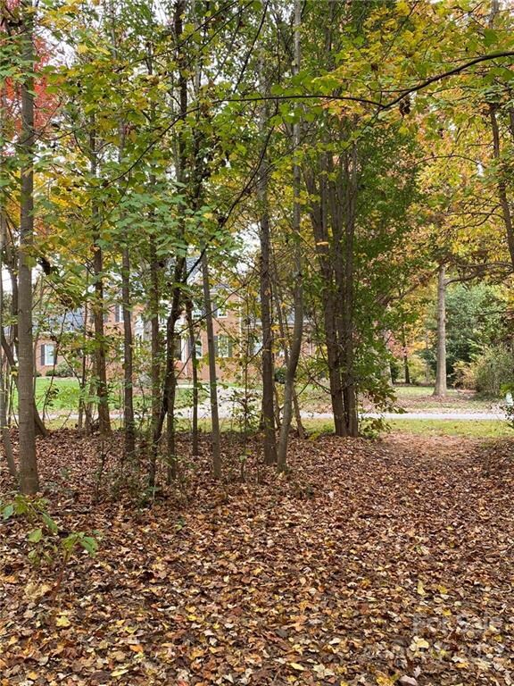 127 Trillium Dr unit 31, Statesville, NC 28625 - photo 3