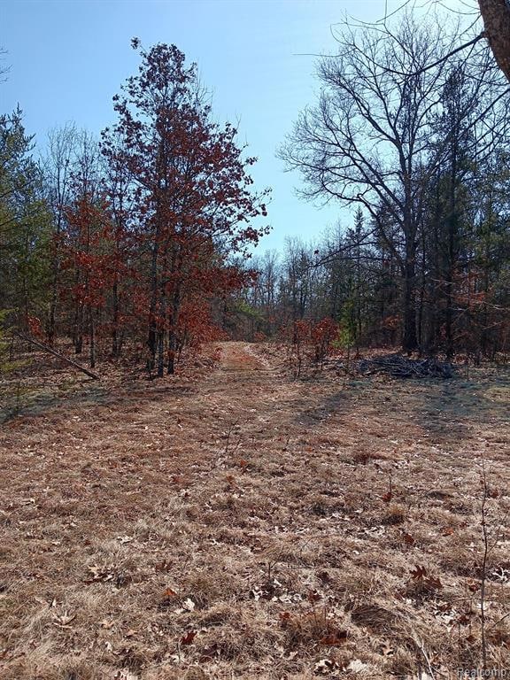 0000 Cedar Creek Rd, Wellston, MI 49689 - photo 5