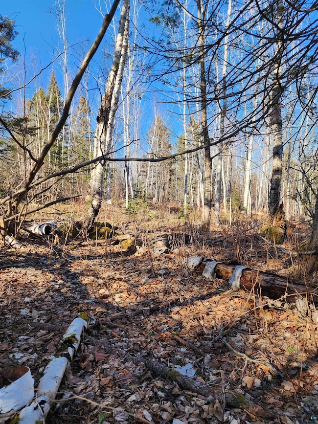 View of nature