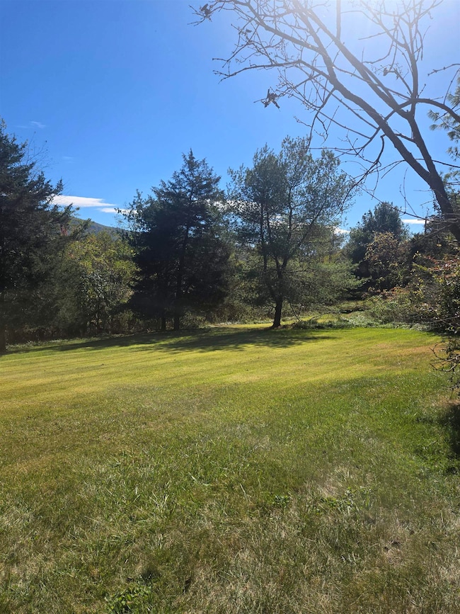 14189 W Virginia 259, Mathias, WV 26812 - photo 6